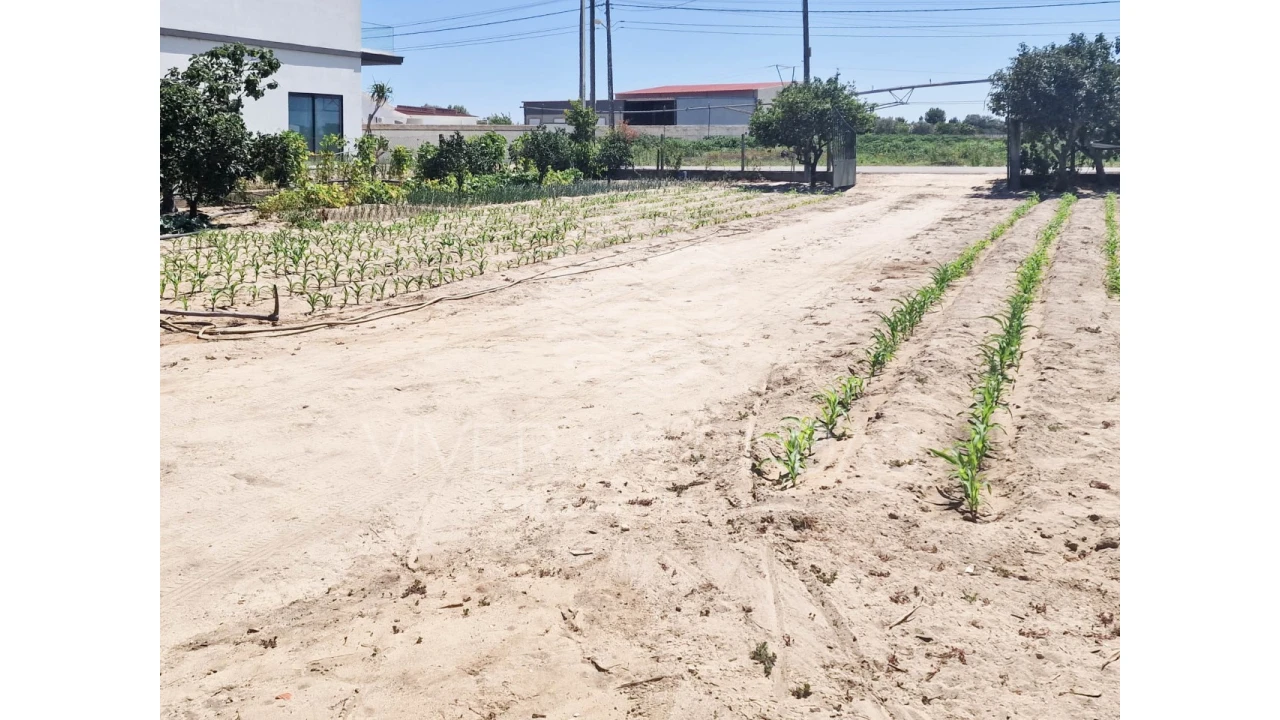 Terreno Agricola ou Rústico para Venda em Salvaterra de Magos e Foros de Salvaterra Foto 47