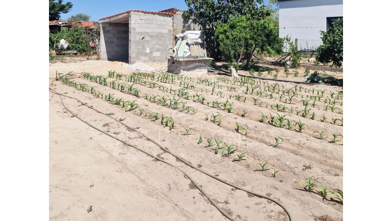 Terreno Agricola ou Rústico para Venda em Salvaterra de Magos e Foros de Salvaterra Foto 48