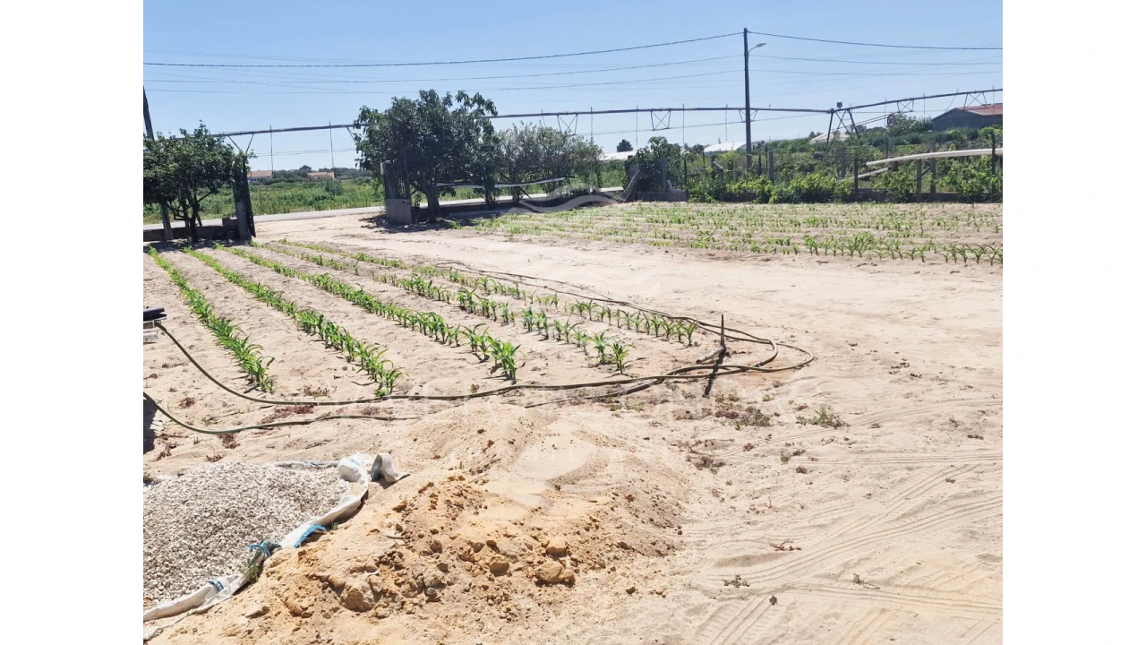 Terreno Agricola ou Rústico para Venda em Salvaterra de Magos e Foros de Salvaterra Foto 49