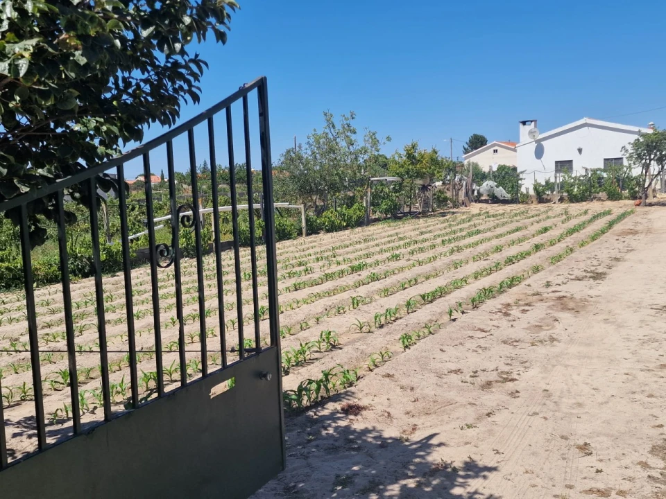 Terreno Agricola ou Rústico para Venda em Salvaterra de Magos e Foros de Salvaterra Foto 4