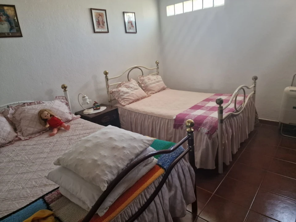 Terreno Agricola ou Rústico para Venda em Salvaterra de Magos e Foros de Salvaterra Foto 15