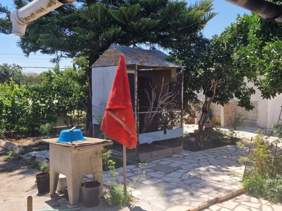 Terreno Agricola ou Rústico para Venda em Salvaterra de Magos e Foros de Salvaterra Foto 25