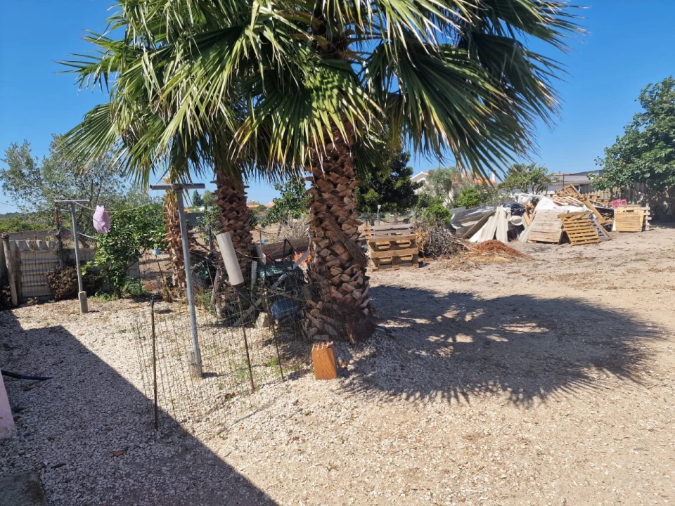 Terreno Agricola ou Rústico para Venda em Salvaterra de Magos e Foros de Salvaterra Foto 36