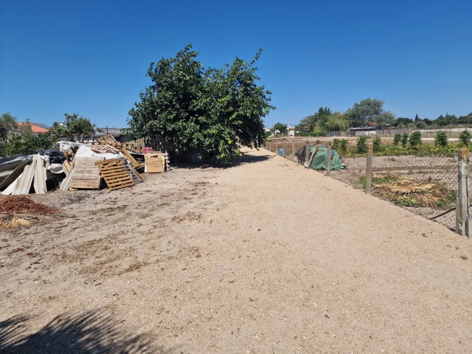 Terreno Agricola ou Rústico para Venda em Salvaterra de Magos e Foros de Salvaterra Foto 38