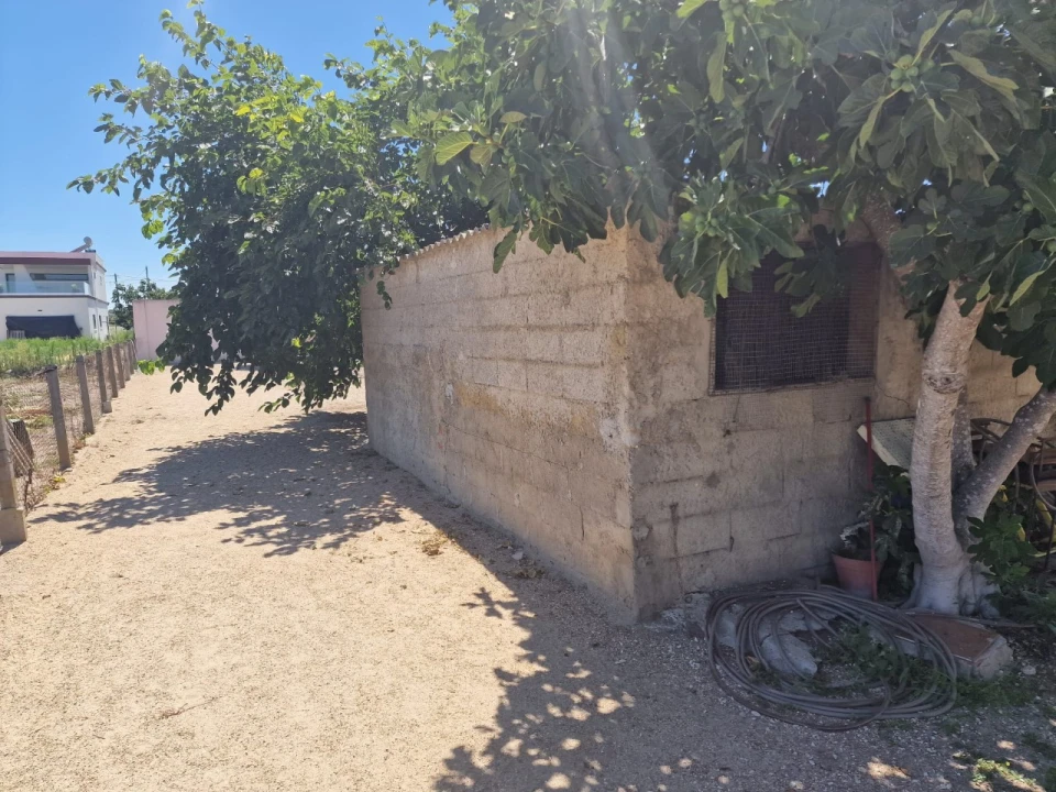 Terreno Agricola ou Rústico para Venda em Salvaterra de Magos e Foros de Salvaterra Foto 39