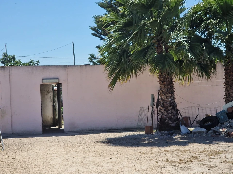 Terreno Agricola ou Rústico para Venda em Salvaterra de Magos e Foros de Salvaterra Foto 52