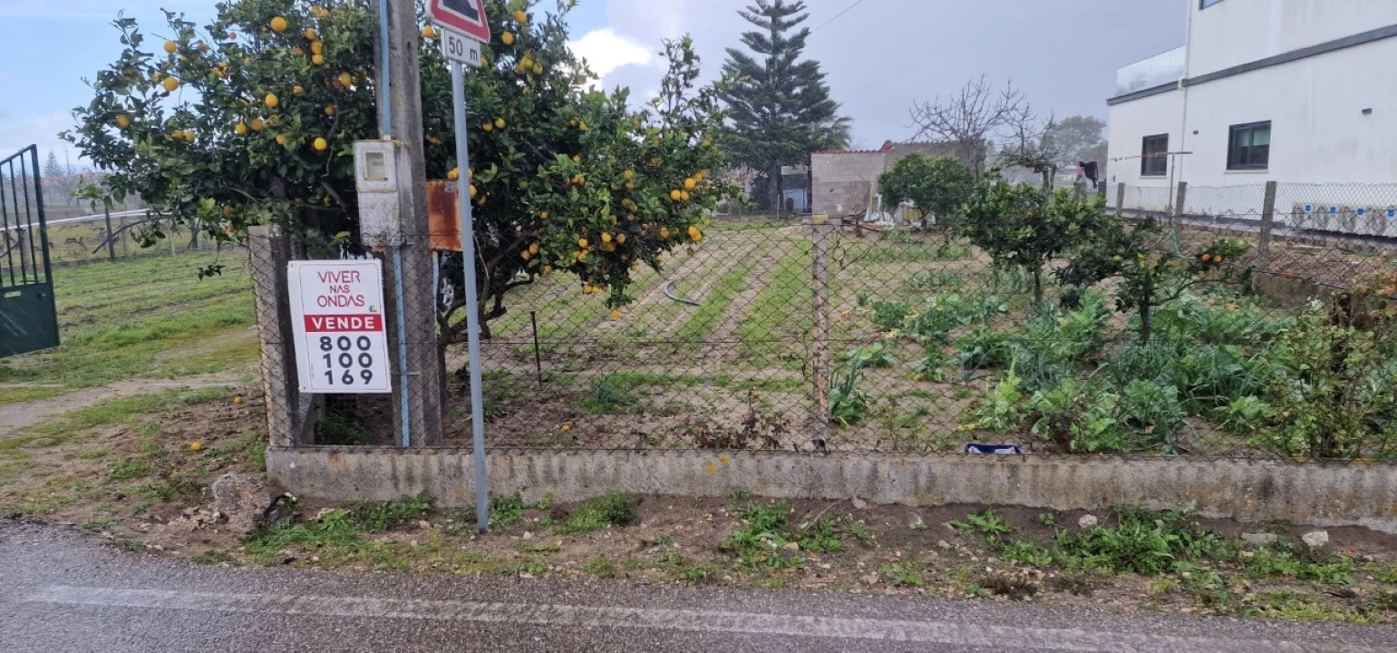 Terreno Agricola ou Rústico para Venda em Salvaterra de Magos e Foros de Salvaterra Foto 53