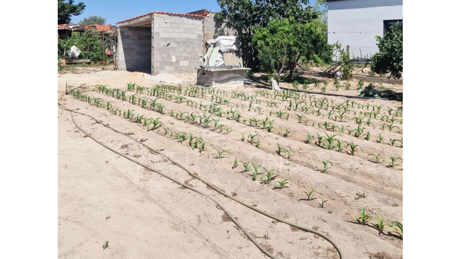 Terreno Agricola ou Rústico para Venda em Salvaterra de Magos e Foros de Salvaterra Foto 48