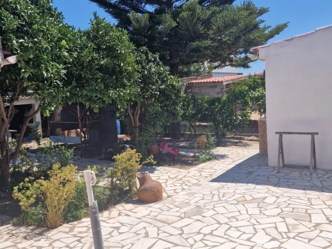 Terreno Agricola ou Rústico para Venda em Salvaterra de Magos e Foros de Salvaterra Foto 6