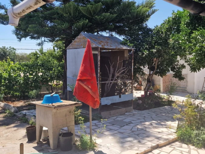 Terreno Agricola ou Rústico para Venda em Salvaterra de Magos e Foros de Salvaterra Foto 25