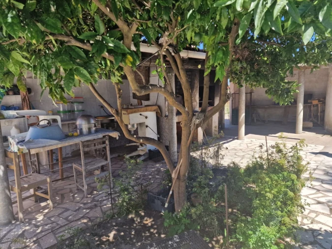 Terreno Agricola ou Rústico para Venda em Salvaterra de Magos e Foros de Salvaterra Foto 30