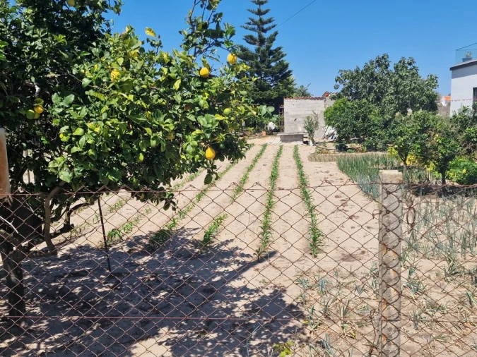 Terreno Agricola ou Rústico para Venda em Salvaterra de Magos e Foros de Salvaterra Foto 44