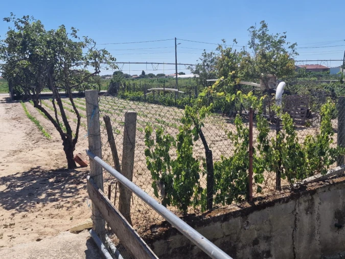 Terreno Agricola ou Rústico para Venda em Salvaterra de Magos e Foros de Salvaterra Foto 45