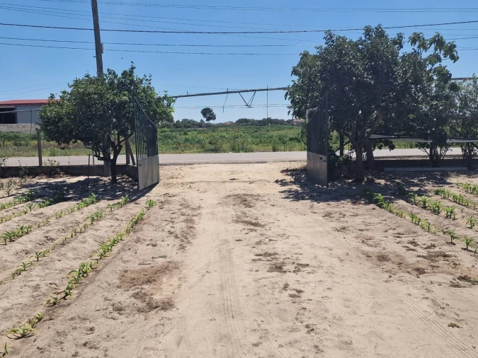 Terreno Agricola ou Rústico para Venda em Salvaterra de Magos e Foros de Salvaterra Foto 51