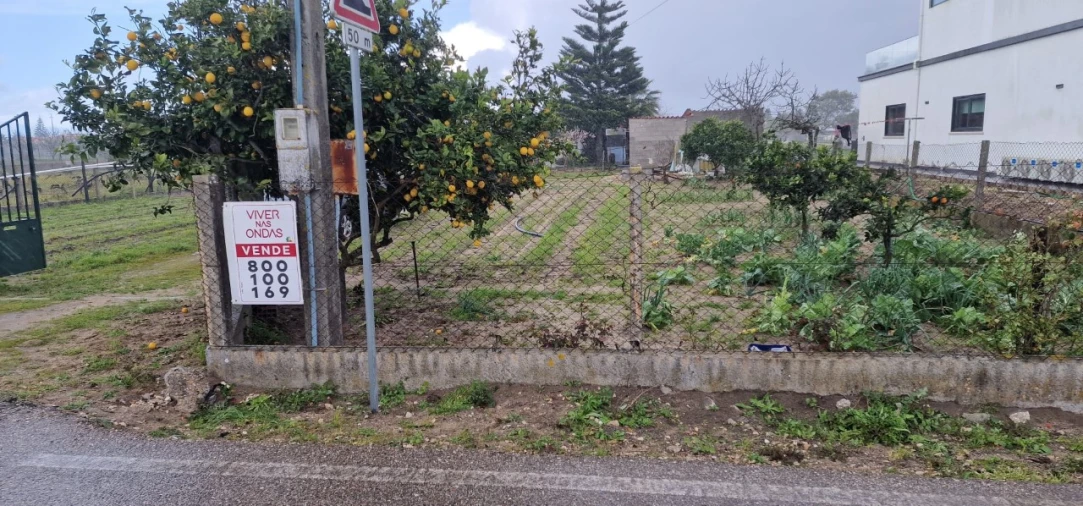 Terreno Agricola ou Rústico para Venda em Salvaterra de Magos e Foros de Salvaterra Foto 53