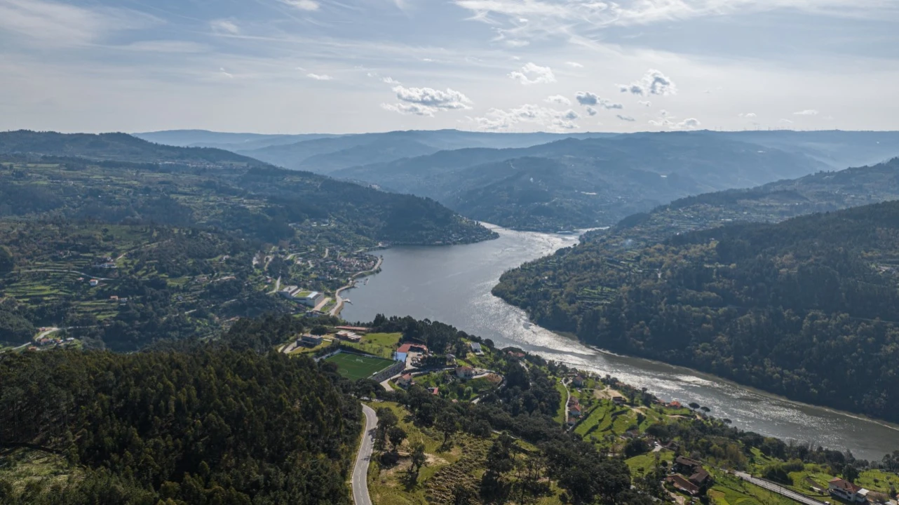 Terreno para Venda em Penhalonga e Paços de Gaiolo Foto 1