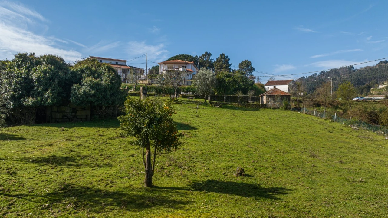 Terreno para Venda em Penhalonga e Paços de Gaiolo Foto 8