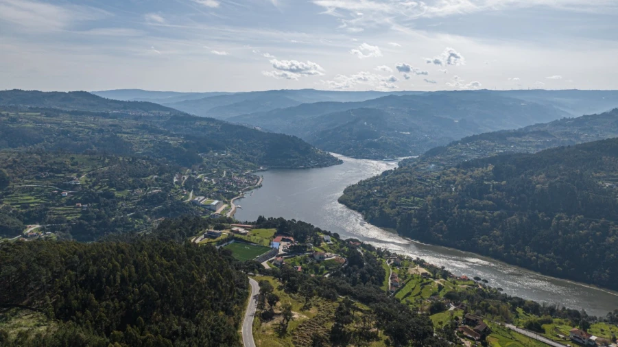 Terreno para Venda em Penhalonga e Paços de Gaiolo