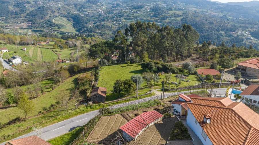 Terreno para Venda em Penhalonga e Paços de Gaiolo Foto 5