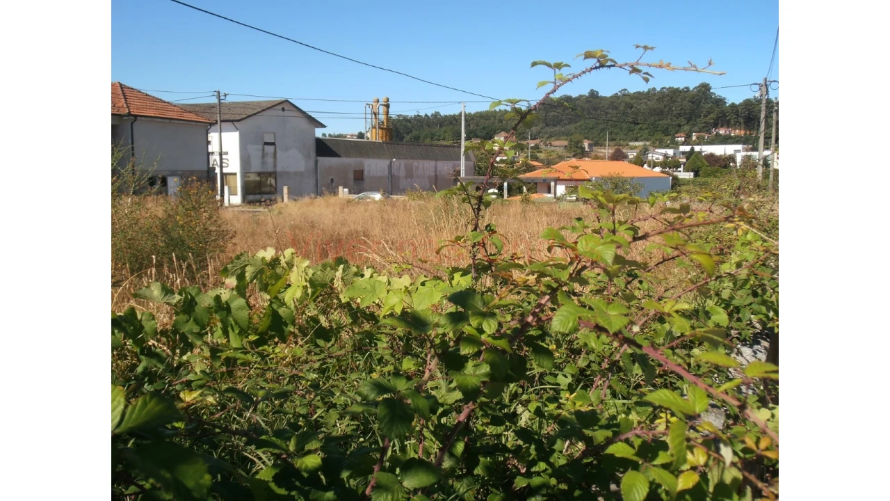 Terreno para Venda em Frazão Arreigada Foto 2