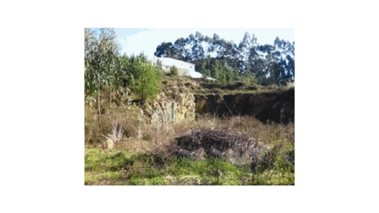 Terreno para Venda em Gondifelos, Cavalões e Outiz Foto 1