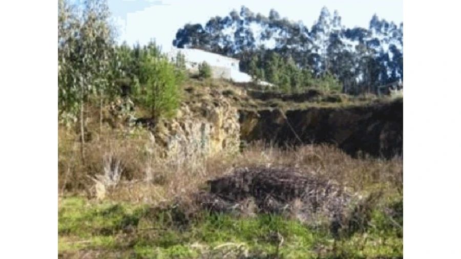 Terreno para Venda em Gondifelos, Cavalões e Outiz Foto 2