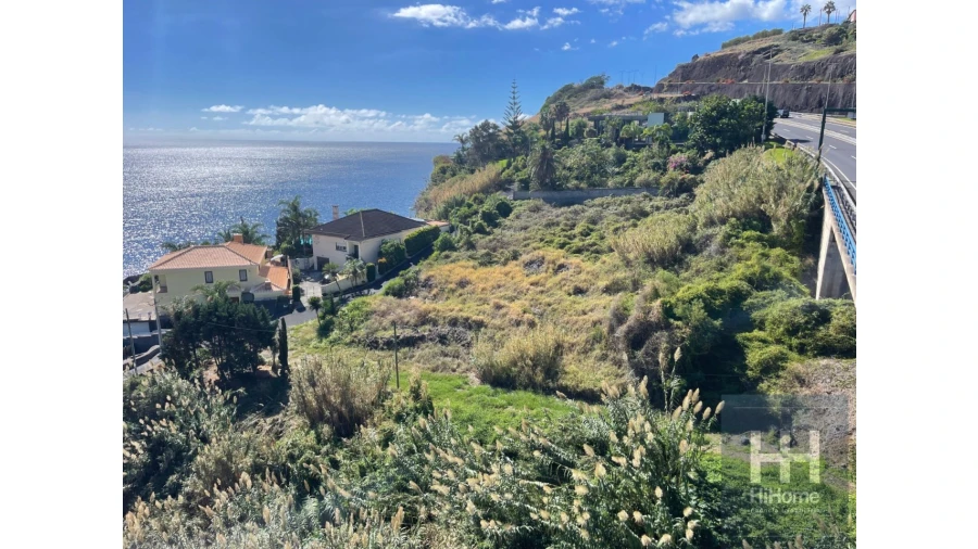 Terreno para Venda em Santa Cruz Foto 4