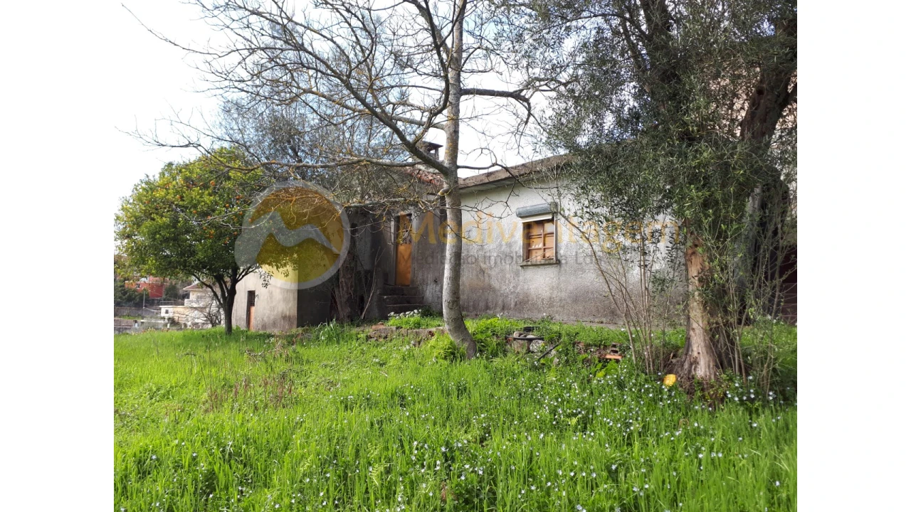 Quinta T2 para Venda em Este (São Pedro e São Mamede) Foto 9