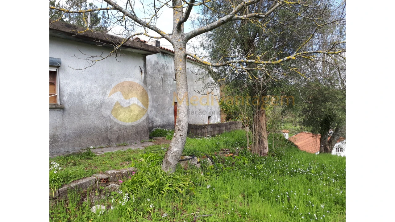 Quinta T2 para Venda em Este (São Pedro e São Mamede) Foto 17