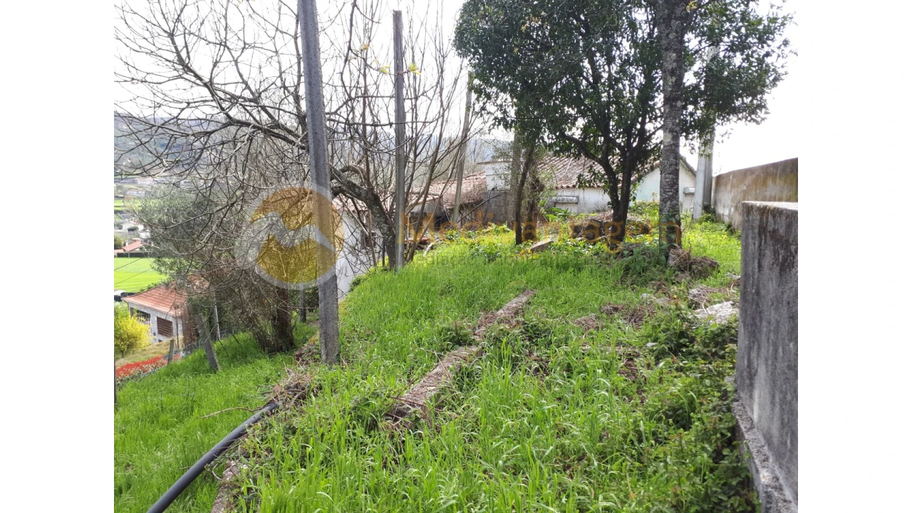 Quinta T2 para Venda em Este (São Pedro e São Mamede) Foto 23