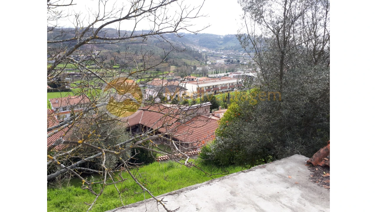 Quinta T2 para Venda em Este (São Pedro e São Mamede) Foto 24