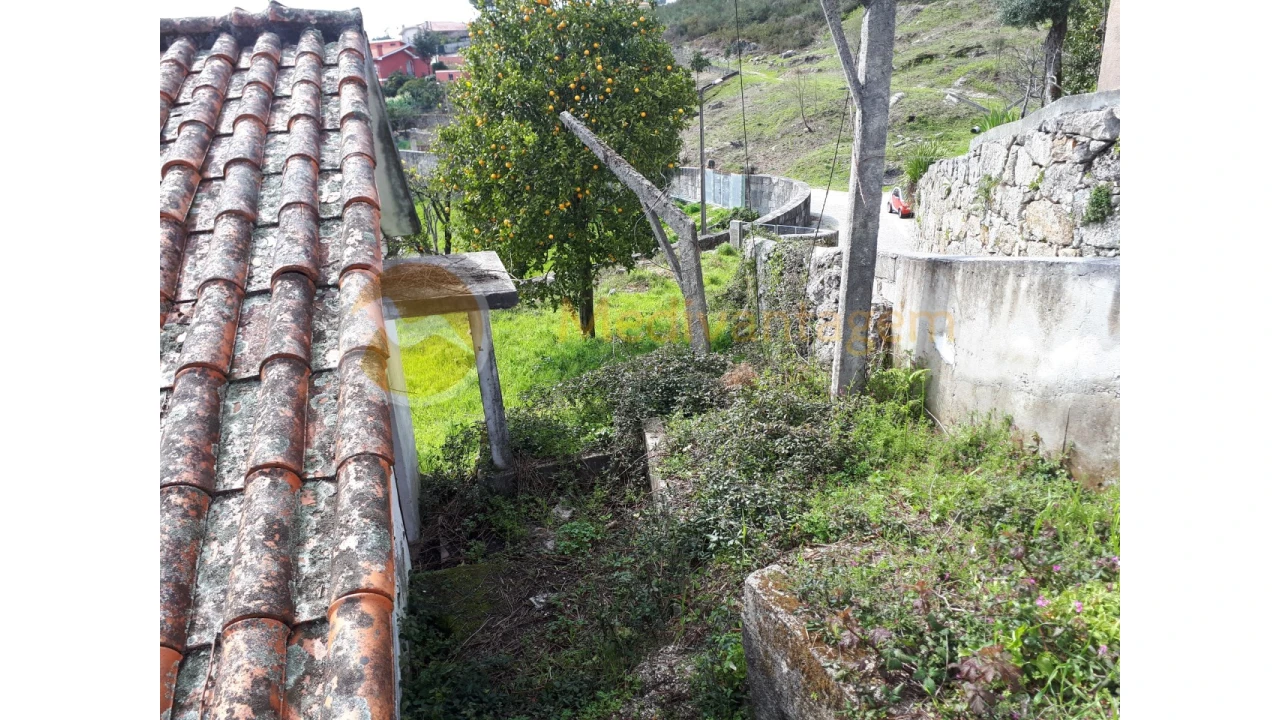 Quinta T2 para Venda em Este (São Pedro e São Mamede) Foto 29