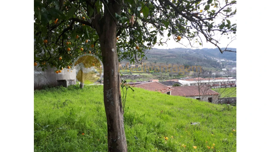 Quinta T2 para Venda em Este (São Pedro e São Mamede) Foto 10