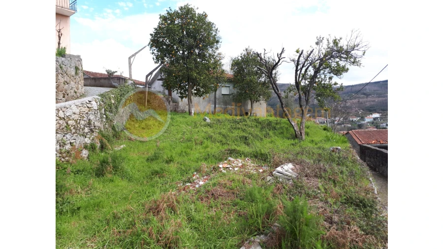 Quinta T2 para Venda em Este (São Pedro e São Mamede) Foto 12