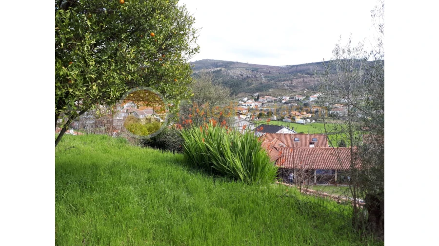 Quinta T2 para Venda em Este (São Pedro e São Mamede) Foto 7