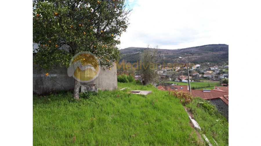 Quinta T2 para Venda em Este (São Pedro e São Mamede) Foto 14