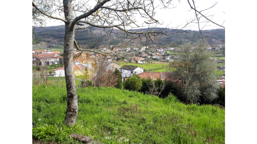 Quinta T2 para Venda em Este (São Pedro e São Mamede) Foto 16