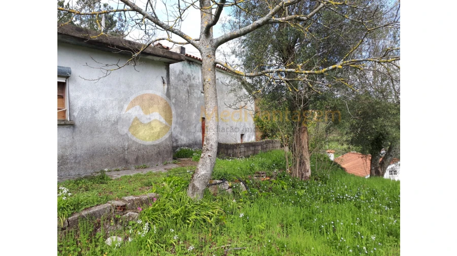 Quinta T2 para Venda em Este (São Pedro e São Mamede) Foto 17