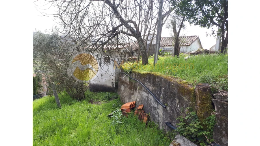 Quinta T2 para Venda em Este (São Pedro e São Mamede) Foto 18