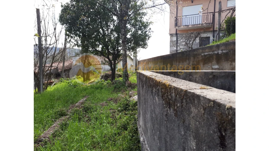 Quinta T2 para Venda em Este (São Pedro e São Mamede) Foto 19