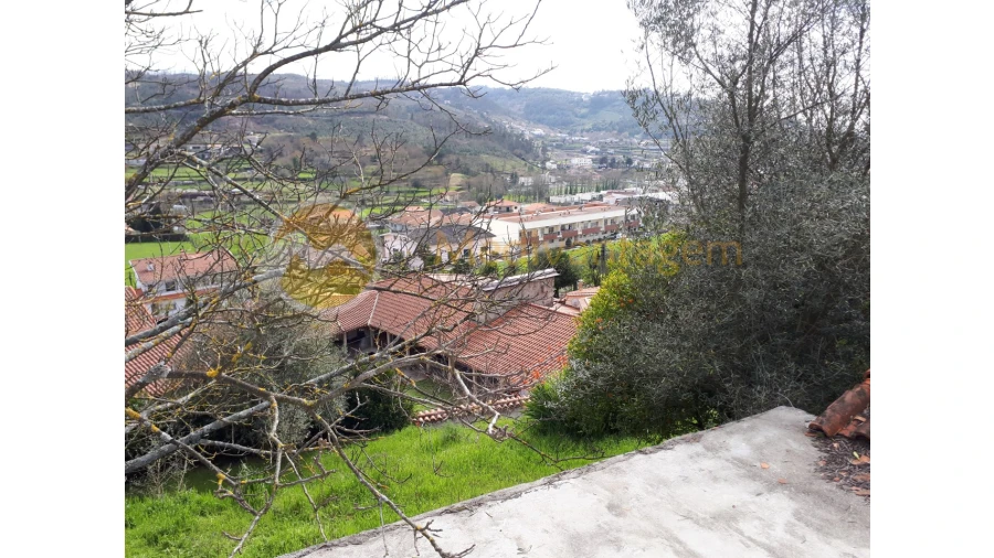Quinta T2 para Venda em Este (São Pedro e São Mamede) Foto 24