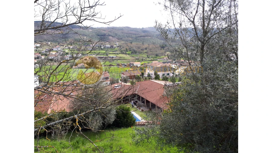 Quinta T2 para Venda em Este (São Pedro e São Mamede) Foto 28