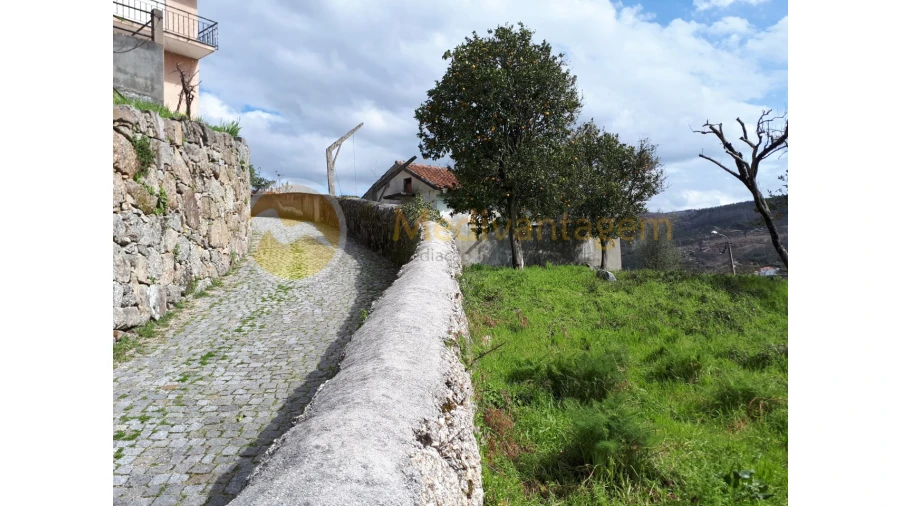 Quinta T2 para Venda em Este (São Pedro e São Mamede) Foto 33