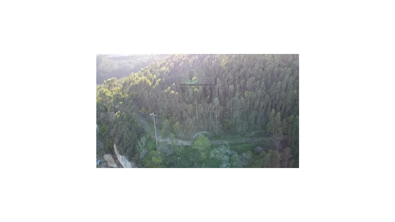 Terreno Agricola ou Rústico para Venda em Venda do Pinheiro e Santo Estêvão das Galés Foto 4