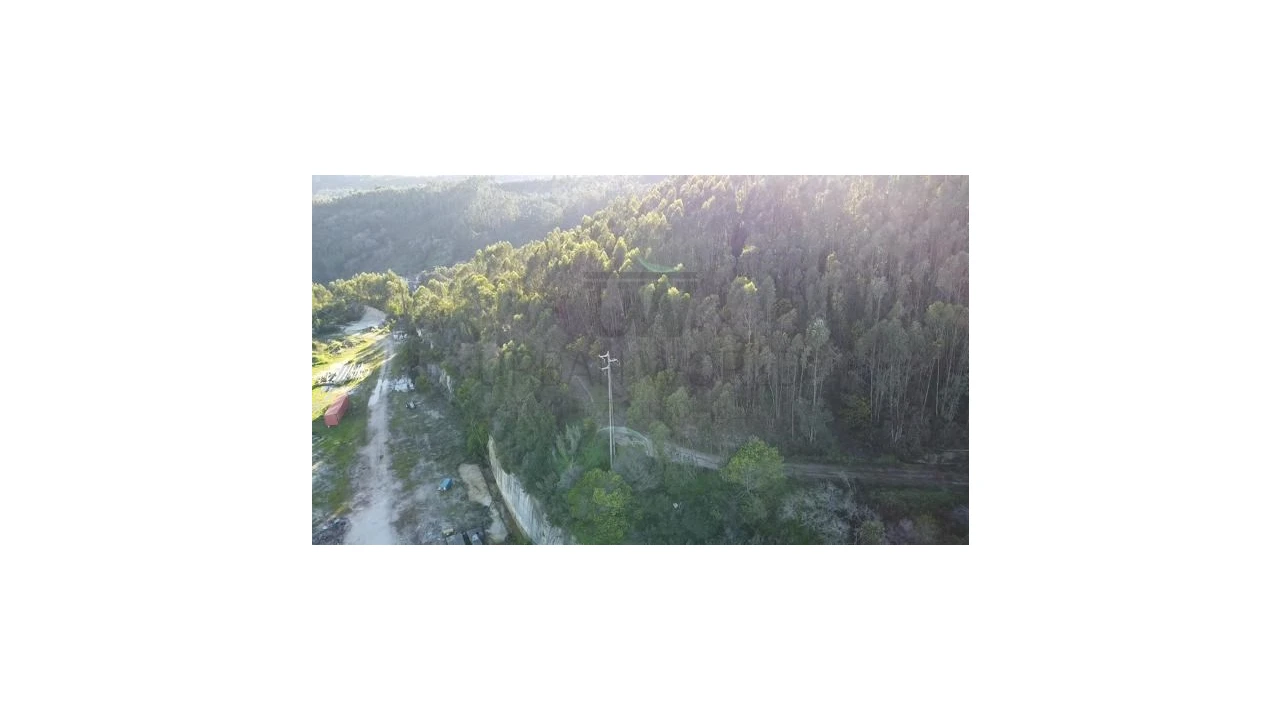 Terreno Agricola ou Rústico para Venda em Venda do Pinheiro e Santo Estêvão das Galés Foto 5