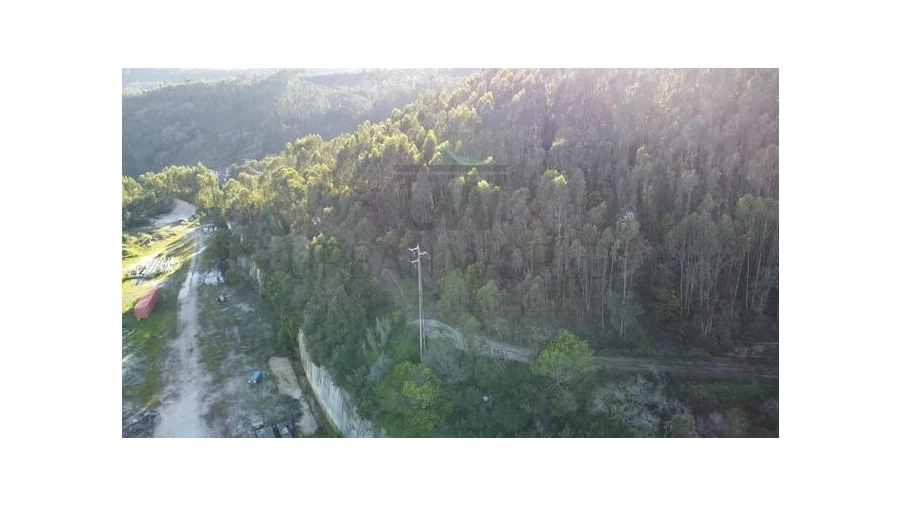 Terreno Agricola ou Rústico para Venda em Venda do Pinheiro e Santo Estêvão das Galés Foto 5