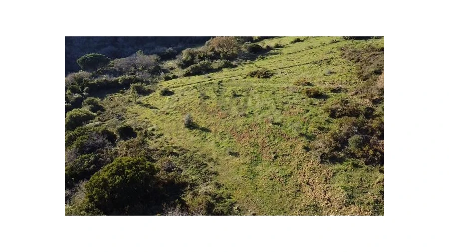 Terreno Agricola ou Rústico para Venda em Venda do Pinheiro e Santo Estêvão das Galés Foto 6