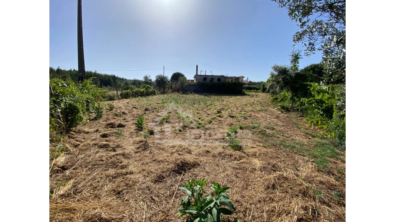 Quinta T1 para Venda em Graça Foto 6
