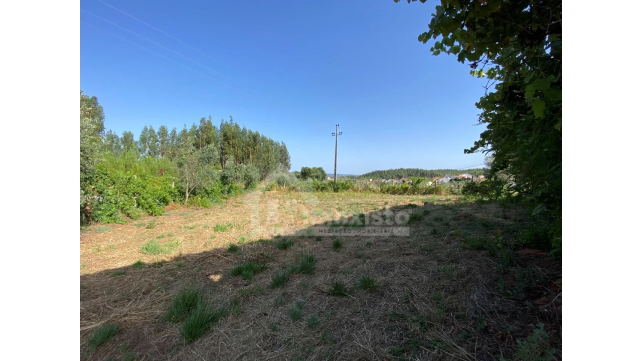 Quinta T1 para Venda em Graça Foto 9