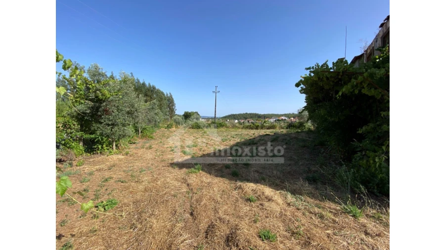 Quinta T1 para Venda em Graça Foto 5